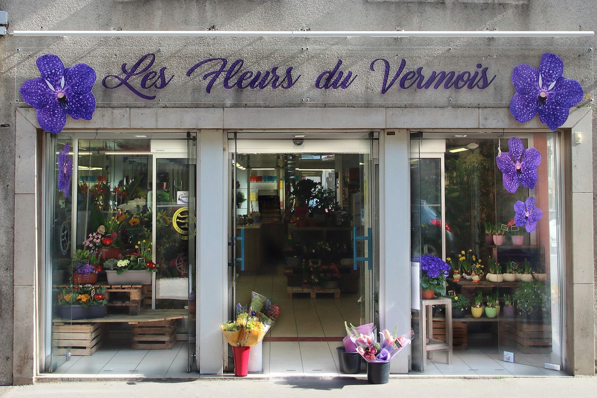 Vitre Fleuriste Les Fleurs du Vermois à Saint Nicolas de Port