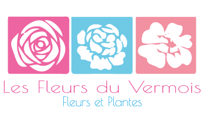 Les Fleurs du Vermois - Fleuriste à Saint Nicolas de Port - Orchidées - Plantes vertes - Plantes fleuries - Deuil - Fleuriste mariage - Livraison de fleurs et plantes sur les villes de Saint Nicolas de Port, Varangéville, Laneuveville devant Nancy, Tomblaine, Pulnoy, Ville en Vermois, Manoncourt en Vermois, Rosières aux Salines, Haraucourt, Buissoncourt, Lupcourt, Azelot, Coyviller, Fléville devant Nancy, Ludres - Boutique en ligne