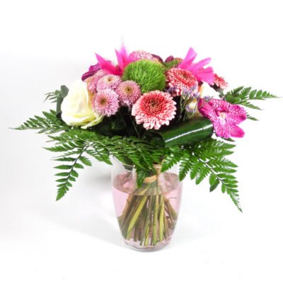 Rose des Bois