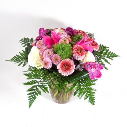 Rose des Bois – Image 2